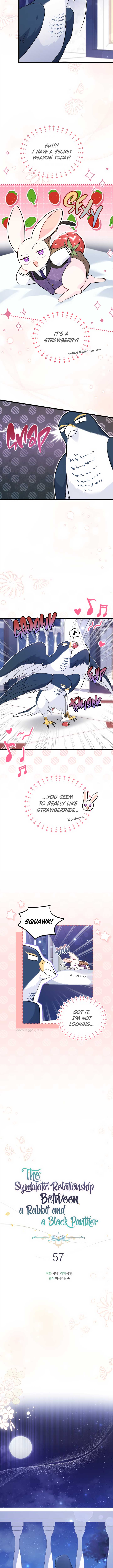 A Symbiotic Relationship Between A Rabbit And A Black Panther Chapter 57 page 1