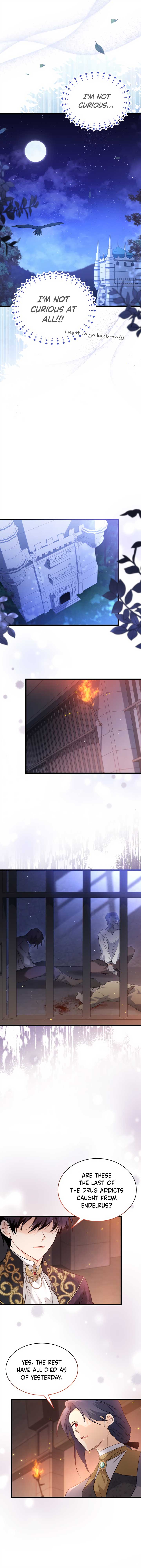 A Symbiotic Relationship Between A Rabbit And A Black Panther Chapter 57 page 4