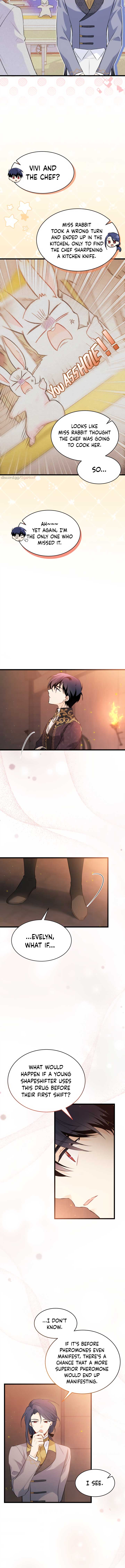 A Symbiotic Relationship Between A Rabbit And A Black Panther Chapter 57 page 7