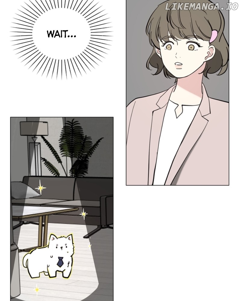 How to Hold X’s Leash Chapter 34 page 12