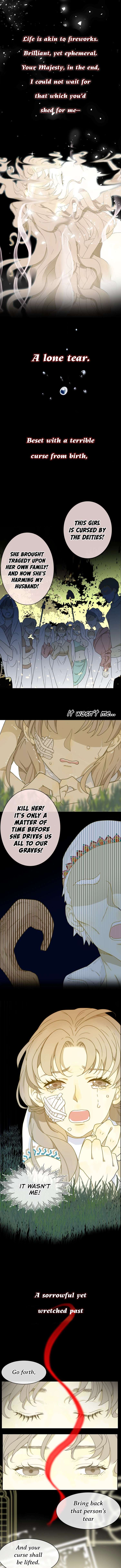 Tyrant’s Tears Chapter 0: A Teardrop on the Face of Eternity page 0